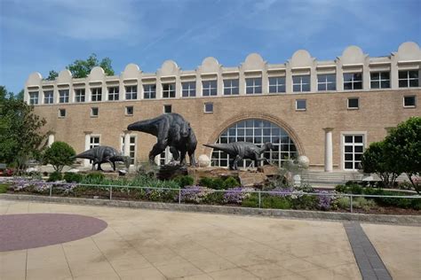 Tickets, Prices & Discounts - Fernbank Museum of Natural History (Atlanta)