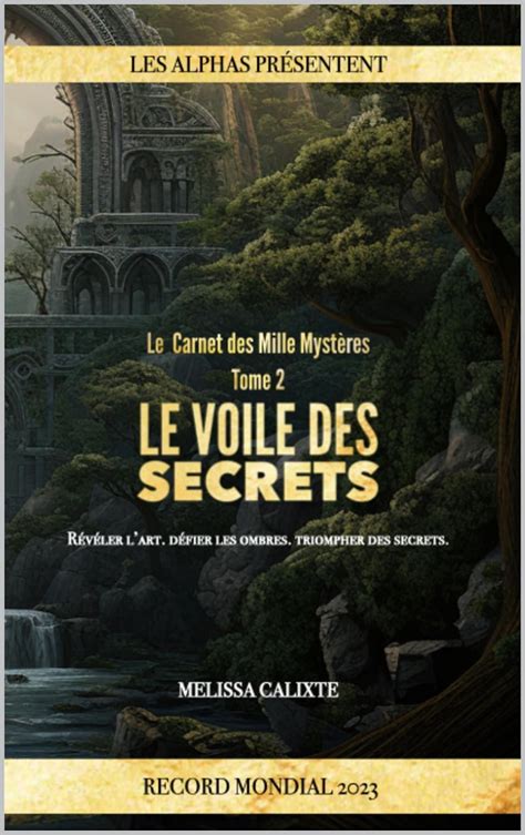 Le Carnet Des Mille Myst Res Tome Le Voile Des Secrets Mille