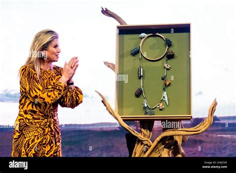 Queen Maxima At The Presentation Of The Prince Bernhard Cultuurfonds