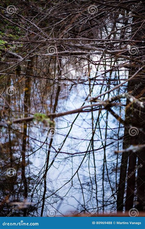 Reflections Of Tree Branches In Autumn Colored Water Stock Photo