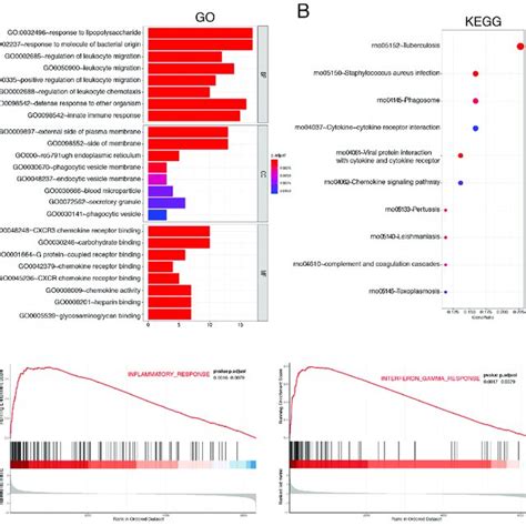 Go Kegg And Gsea Enrichment Analysis Of The Degs Were Performed Using