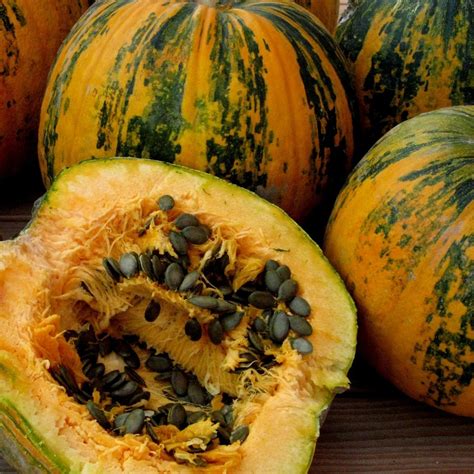Price Oilseed Pumpkin Naked Seeded Pumpkin Seeds