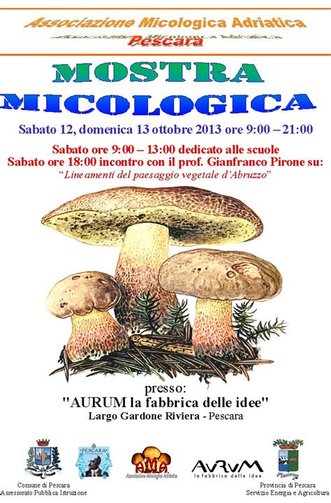 MOSTRA MICOLOGICA Aurum