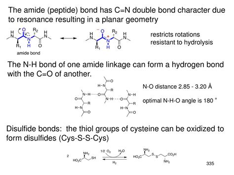 Ppt Chapter 25 Amino Acids Peptides And Proteins Monomer Unit Amino Acids Biopolymer