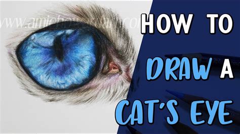 58 HQ Images Cat Eye Drawing Tutorial - Cat Eyes - Tutorial by Kipichuu ...