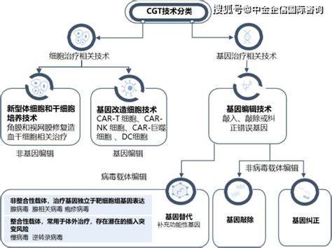 2022年细胞基因治疗（cgt）产业发展战略布局分析及投资环境可行性评估预测研究预测投资