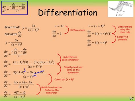 Components Of Differentiation At Dorothy Oldenburg Blog