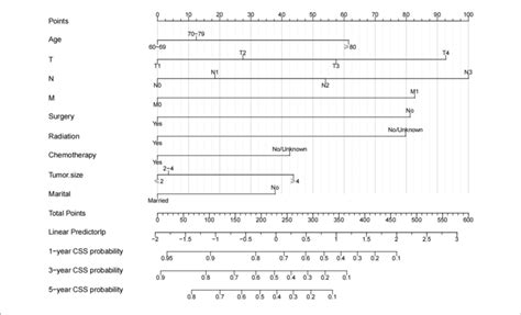 Nomogram For 1 3 And 5 Year Css Of Elderly Patients With Hpscc