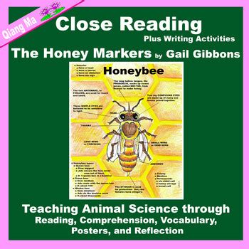 Close Reading The Honey Makers By Gail Gibbons By Qiang Ma TpT