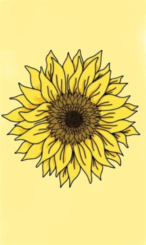 Sunflower Drawing Tumblr