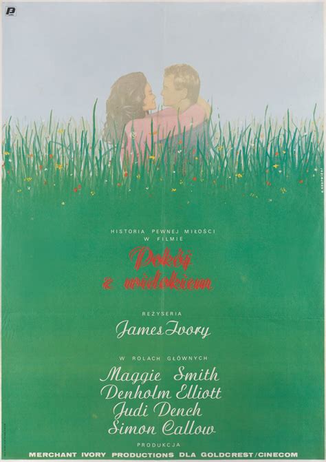 A Room with a View Original 1988 Polish B1 Movie Poster - Posteritati ...