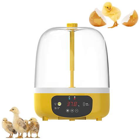 Mini Egg Incubator For Hatching Eggstemperature Control Digital
