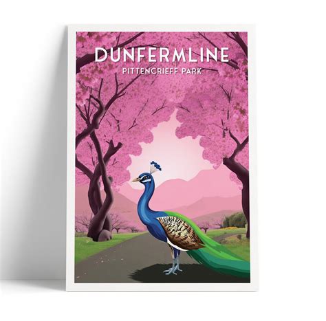 Dunfermline Pittencrieff Park Peacock Illustration Poster Fife Scotland