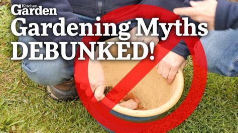 Video Gardening Myths Debunked Mudketeers