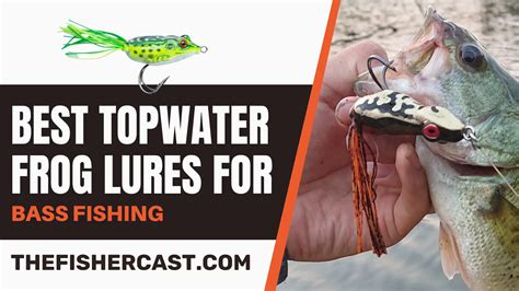 Best Topwater Frog Lures For Bass Fishing Thefishercast