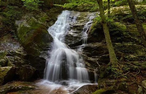 15 Beautiful Hiking Trails Near Charlottesville, Virginia