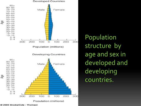 Ppt Age Structure Diagrams Powerpoint Presentation Free Download