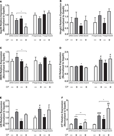 Frontiers The Long Non Coding Rna Nostrill Regulates Transcription Of