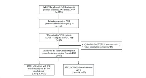 Patient Inclusion Flow Chart Download Scientific Diagram