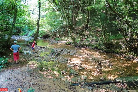 Parco Del Curone Sentieri Pic Nic E Natura Da Scoprire Con I Bambini