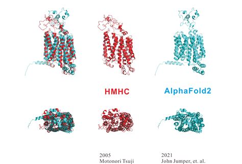 Protein Secondary Structure Prediction And Ab Initio 3D Structure