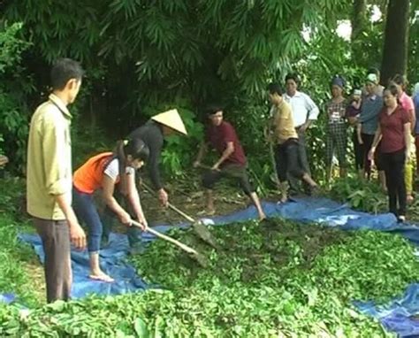 cach  phan xanh dung ky thuat ba  tu tin  phan ngay tai nha