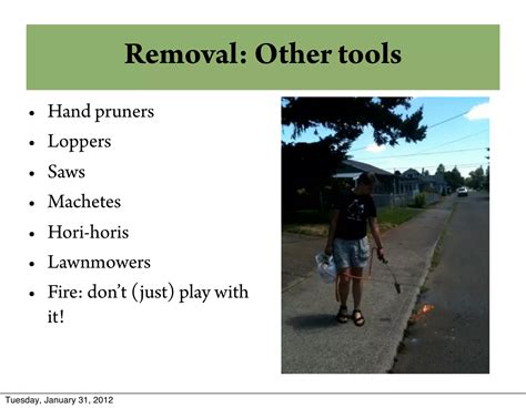 Garden Invaders - Recognizing and Removing Invasive Plants | PPT