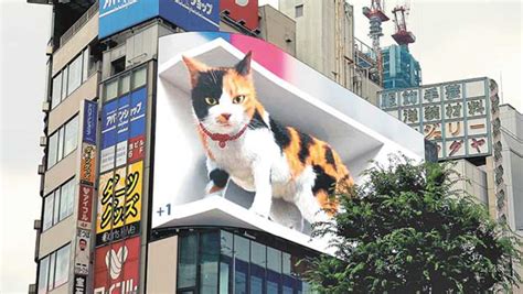 Outdoor Advertising With 3d Led Billboard For Your Business