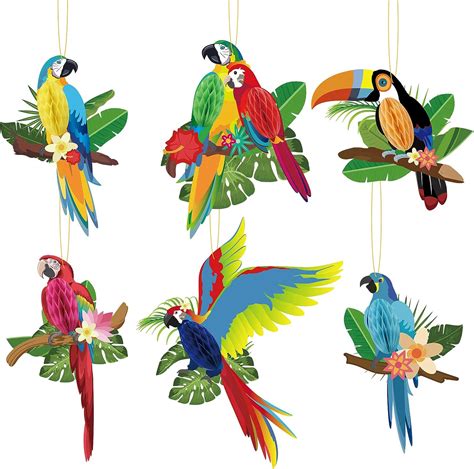 Amazon Sunbeauty Pieces Tropical Birds Honeycomb Paper Cutouts