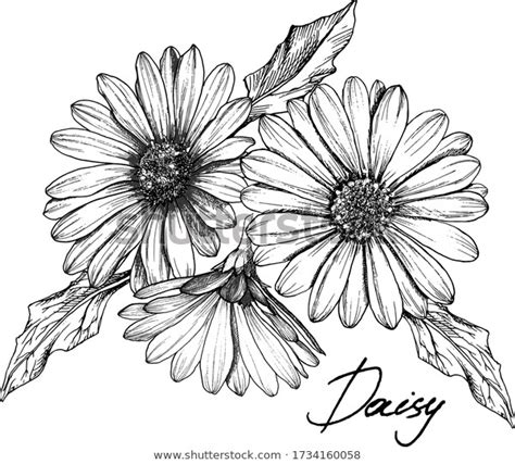 Gerbera Daisy Tattoo Daisy Flower Tattoos Flower Tattoo Sleeve Floral Tattoo Daisies Tattoo