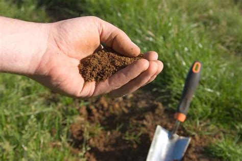 How To Test Soil In The Home Garden Gardeners Path