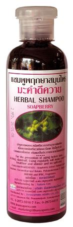 Soapberry Herbal Shampoo