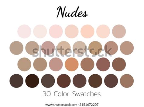 Collection Color Palettes Nude Tones Stock Vector Royalty Free 2151672207 Shutterstock