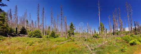 Sumava, the Sumava National Park, Czech Republic Stock Photo - Image of ...