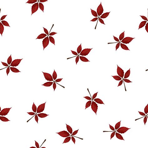 Feuilles d automne Modèle sans couture de feuilles d érable rouges sur