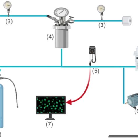 Schematics Of The Gas Separation Unit 1 And 2 Gas Cylinders 3