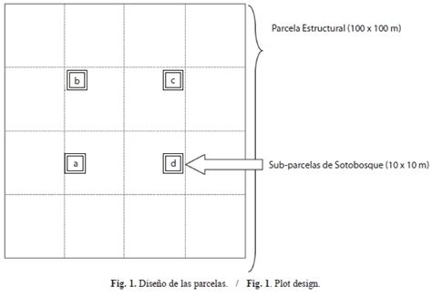 Relaciones Suelo Vegetaci N En Una Toposecuencia Del Escudo Guayan S