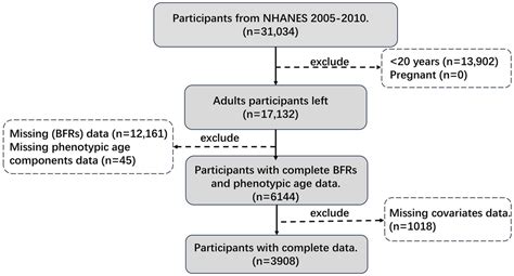 Frontiers Sex Specific Associations Between Brominated Flame