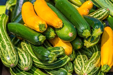 Veggie of the Month- Summer Squash | Cayuga Health