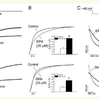 EPA Acute Effects On K V 7 1 KCNE1 Channels A Traces Obtained After