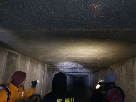 Khreschatyk Underground: 19th century tunnel and Klov River – Moments