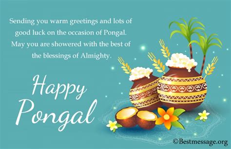 Happy Pongal Wishes 2022: Pongal Messages, Quotes Status - Read a Biography