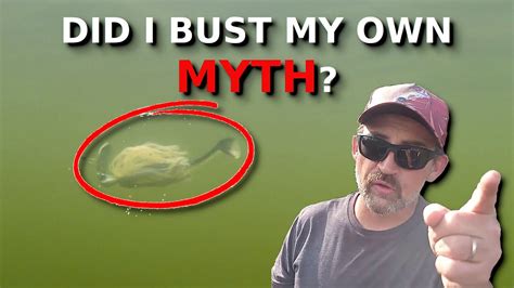 The BEST Chatterbait Trailer IS NOT What You Think Underwater Proof