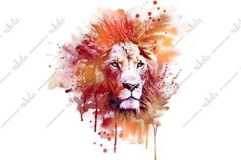 Lion Watercolor Sublimation Clipart PNG Graphic By Nikola Creative