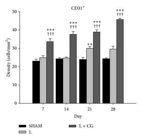 Both endothelial cells and smooth muscle cells in vessel walls defined ... 