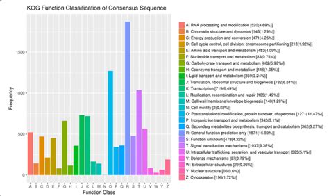 Clusters Of Orthologous Groups Cog Classification In Xuzi