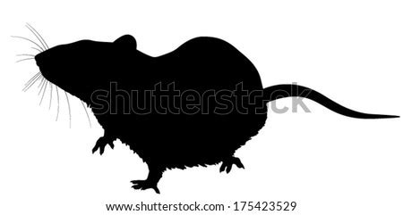 Rat Tattoo Stock Photos, Images, & Pictures | Shutterstock