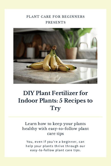 Shop for your DIY Plant Fertilizer for Indoor Plants: 5 Recipes to Try