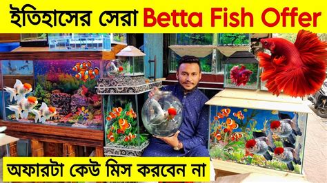 Aquarium Price In Bangladesh Aquarium Fish Price In Katabon Aquarium