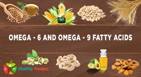 What Are Omega 6 And Omega 9 Fatty Acids Their Functions And Dietary